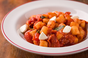Delicious Italian Gnocchi with Tomato Sauce and Mozzarella in White Plate