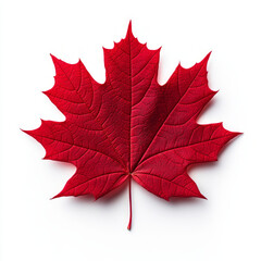 A single, vibrant red maple leaf on a white background.