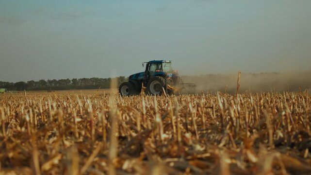 A blue tractor plows through golden corn stubble in a wide-open field as the sun sets, dust rising into the air. The rural landscape reflects a busy agricultural season preparing for planting