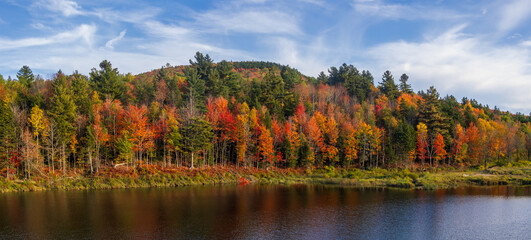 Panoramic view of colorful trees by the river in Vermont during autumn time.