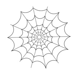 Web in cartoon style. Vector illustration of a web with thin threads isolated on a white background. Contour. Graphic lines.