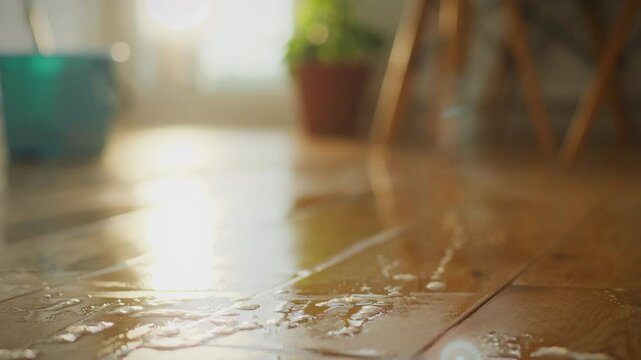 The warm sunlight streams through the window, illuminating a recently mopped wooden floor with water droplets glistening. A sense of freshness fills the air in this inviting room