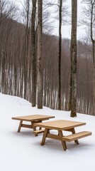 Beehives stand peacefully in a snowy forest, blanketed in white, with tall evergreen trees creating a serene winter atmosphere