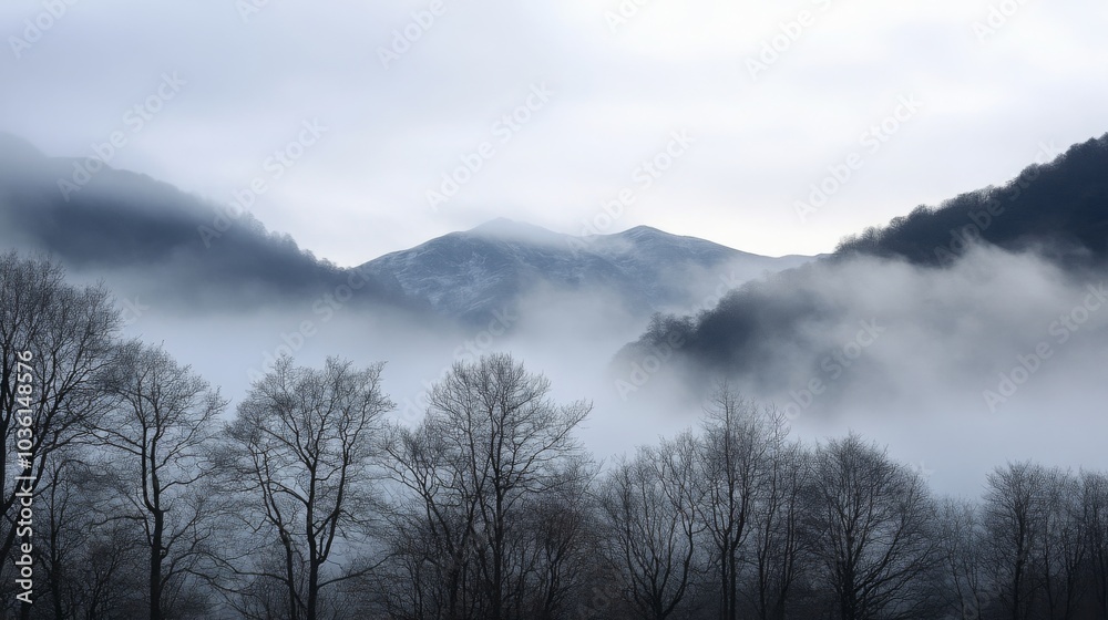 Poster The image shows a misty mountain landscape, with a thick layer of fog obscuring the hills. The trees in the foreground are bare and skeletal, adding to the overall sense of mystery.