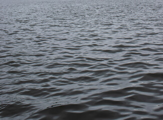 A serene view of rippling water's surface, capturing the calming essence of nature. Ideal for relaxation, meditation, or artistic backgrounds.