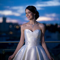 Fototapeta premium bride in wedding dress