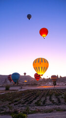 Obraz premium Hot air balloons fly in Cappadocia on an autumn morning.
