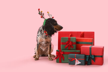 Cute cocker spaniel in reindeer horns with Christmas gifts on pink background