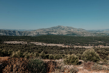 Arid Croatian countryside outside Dubrovnik in summer