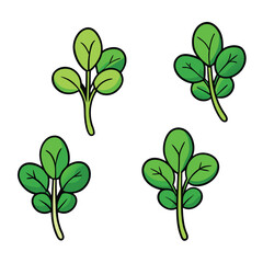 Fresh Watercress Art, Vector, Flat Vegetables Illustration Design On White Background