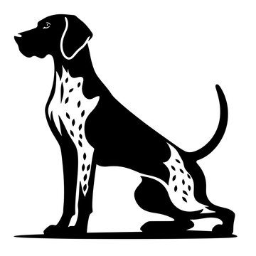 German Shorthaired Pointer