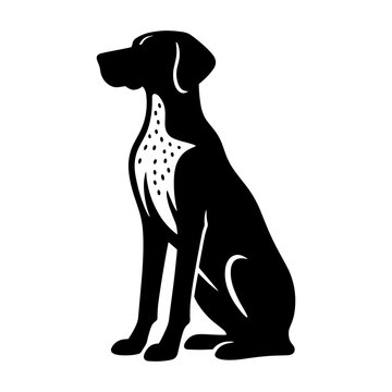 German Shorthaired Pointer Sitting