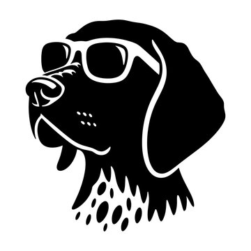 German Shorthaired Pointer