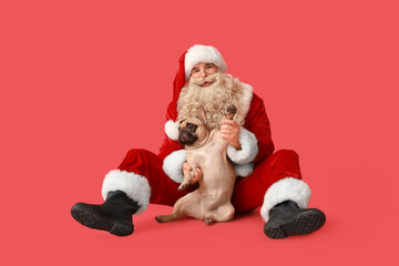Santa Claus with French bulldog on red background