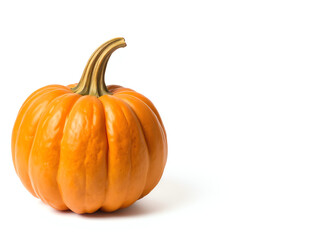 Obraz premium pumpkin isolated on white background