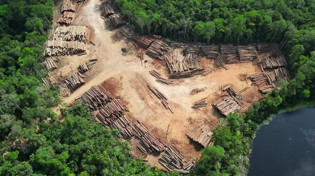 Aerial drone footage over a expansive storage yard of sustainably harvested logs in a brazilian Amazon rainforest management project