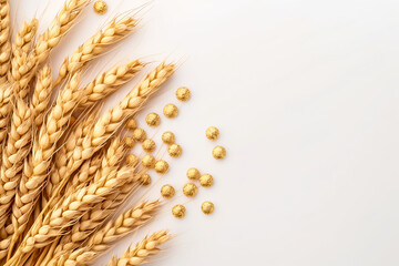 A beautiful arrangement showcases golden wheat stalks elegantly laid next to small, round, textured spheres, capturing the essence of natures bounty on a clean surface