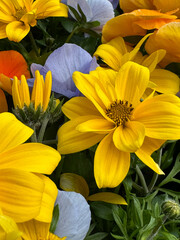 group of real, natural flowers