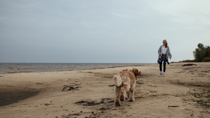 Young woman and her dog playing fetch on the sandy shore. The dog chases after the ball, and the beach setting adds to the dynamic and fun atmosphere.