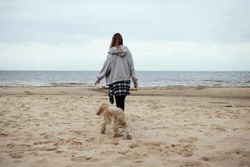 Walking on a serene autumn beach, a girl dressed in a cozy gray hoodie and plaid shirt tied at her waist enjoys the companionship of her Cocker Spaniel, embracing nature’s beauty.