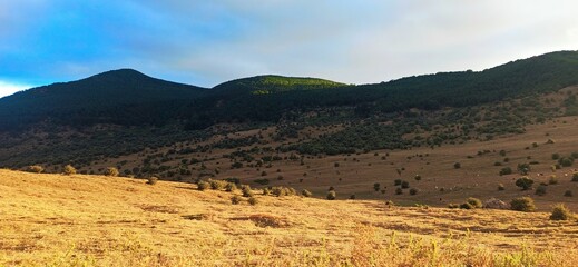 panorama of the mountains