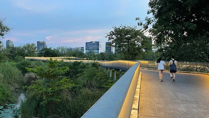 Bangkok, Thailand – Benjakitti Park visited by evening walkers and joggers amid the blend of wild nature and the skyline of high-risers.