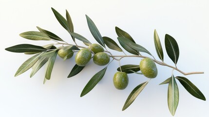 Green olives and leaves on an isolated olive branch rendered in 3D for design and decorative purposes