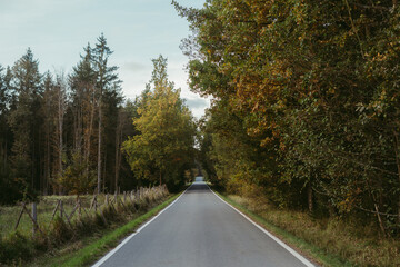Fototapeta premium A quiet autumn landscape with a road and trees
