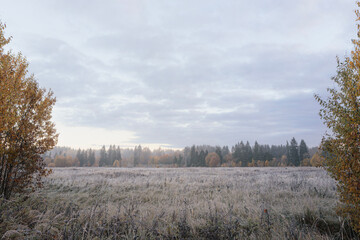 A field of grass dusted with frost is framed by trees with yellowing leaves, creating a serene and picturesque autumn landscape.
