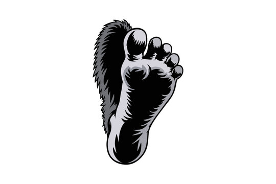 Foot, hairy, bigfoot, sasquatch, yeti, cryptid, monster, myth, legend, creature, folklore, mysterious, supernatural, beast, wildman, primate, ape, hominid, footprint, track, evidence, sighting, unexpl