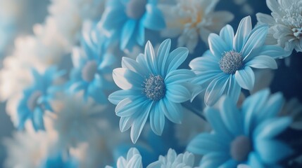 Fototapeta premium Blue Daisies Bouquet