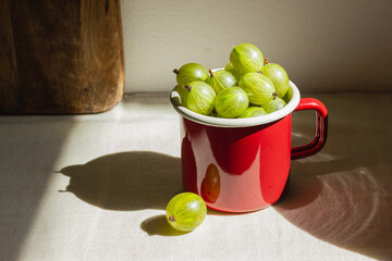 Gooseberry in a red enamel mug in sunlight