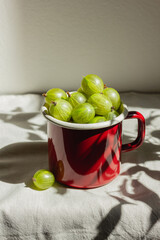 Gooseberry in a red enamel mug in sunlight
