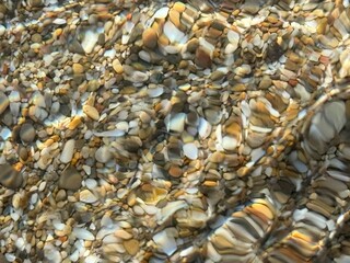 Little stones and shells under clear sea water