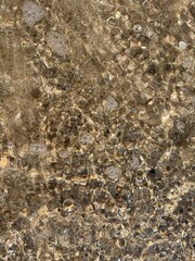 texture of stone under sea clear water