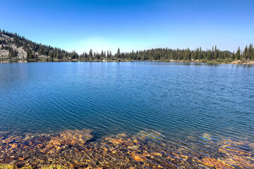 Crystal clear glacial lake in the Rocky Mountains, revealing a vibrant array of colorful stones beneath its transparent blue waters.