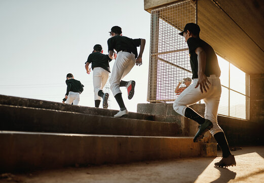 Sports, baseball dugout or team running for match game, competition or practice in stadium. Back of people, athlete or softball players ready to start exercise, fitness workout or training together