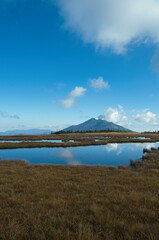 尾瀬のアヤメ平
