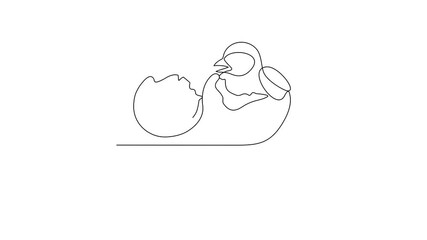 Animated self drawing of Egg Day video illustration. Egg Day in simple linear concept video design. Animal and egg design video concept for celebrate about benefit consumption egg for body healthy.
