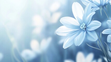 Blue Flowers in a Meadow