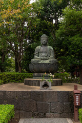 buddha statue in the park