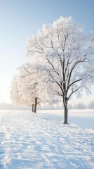 Capture a stunning real-life image of a beautiful winter landscape, showcasing the first snowfall with pristine white snow blanketing the ground, frost-covered trees, and a crisp, clear sky that highl