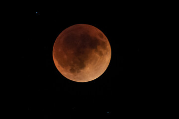 Obraz premium moon in the night