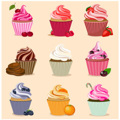 Set of various cupcakes vector image