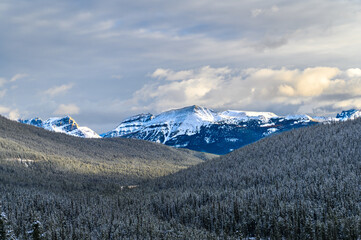 Fototapeta premium Bulwark Peak view from Lake Moraine cascade trail landscape view during beginning of Autumn snow sparked all over the pine trees and snowcap mountains