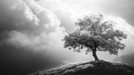 Obraz premium Solitary Tree in a Cloudy Sky