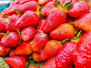 Strawberries on the market. Strawberries red background. Closeup view 