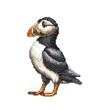 recommend clip art: Adorable Puffin Illustration: Pixel Art Seabird