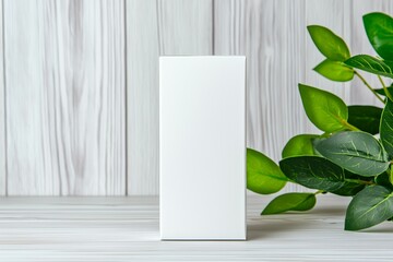 A white box sits on a wooden table next to a green leafy plant