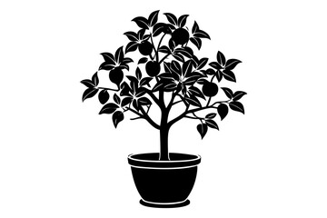 Orange tree in a pot  silhouette.